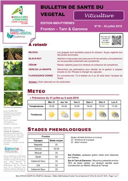 BULLETIN DE SANTE DU VEGETAL Viticulture