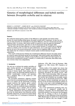 Genetics of Morphological Differences and Hybrid Sterility Between Drosophila Sechellia and Its Relatives