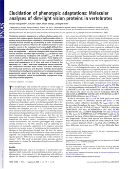 Molecular Analyses of Dim-Light Vision Proteins in Vertebrates