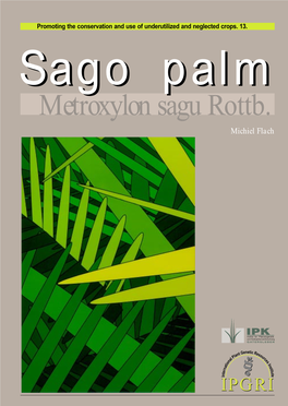 Sago Palm, Metroxylon Sagu Rottb