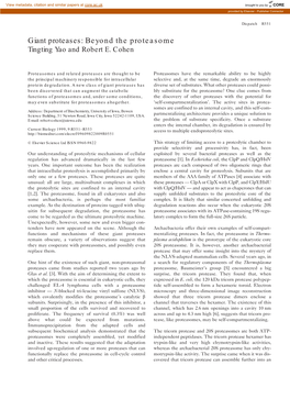 Giant Proteases: Beyond the Proteasome Tingting Yao and Robert E