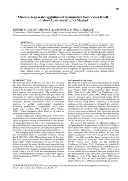 Miocene Deep Water Agglutinated Foraminifera from Viosca Knoll, Offshore Louisiana (Gulf of Mexico)
