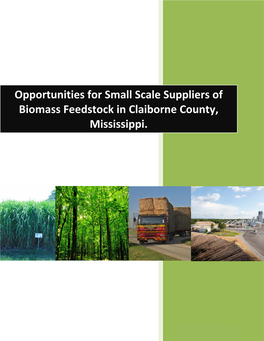 Opportunities for Small Scale Suppliers of Biomass Feedstock in Claiborne County, Mississippi