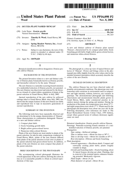 (12) United States Plant Patent (10) Patent No.: US PP16,098 P2 Wood 45) Date of Patent: NOV