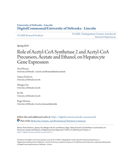 Role of Acetyl-Coa Synthetase 2 and Acetyl-Coa Precursors, Acetate and Ethanol, on Hepatocyte Gene Expression