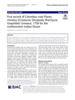 First Record of Columbus Crab Planes Minutus (Crustacea: Decapoda: Brachyura: Grapsidae) Linnaeus, 1758 for the Northwestern