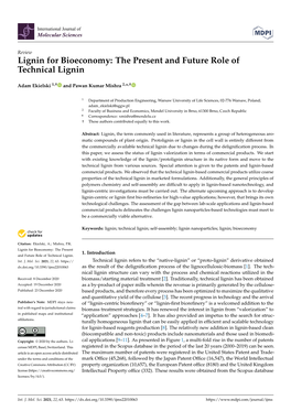 Lignin for Bioeconomy: the Present and Future Role of Technical Lignin