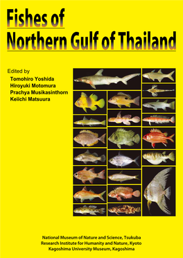 Fishes of Northern Gulf of Thailand Ii Iii