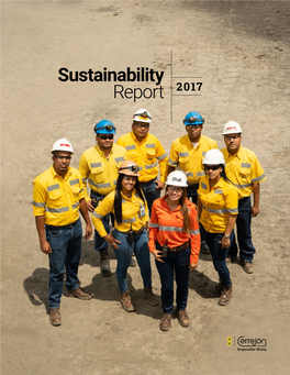 Sustainability Report 2017 SUSTAINABILITY REPORT