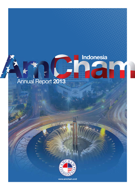 Annual Report 2013