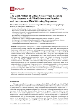 The Coat Protein of Citrus Yellow Vein Clearing Virus Interacts with Viral Movement Proteins and Serves As an RNA Silencing Suppressor