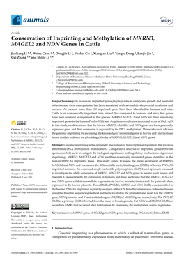 Conservation of Imprinting and Methylation of MKRN3, MAGEL2 and NDN Genes in Cattle