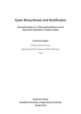 Xylan Biosynthesis and Modification