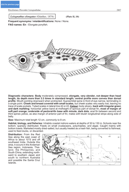 Leiognathus Elongatus (Günther, 1874) (Plate II, 10) Frequent Synonyms / Misidentifications: None / None