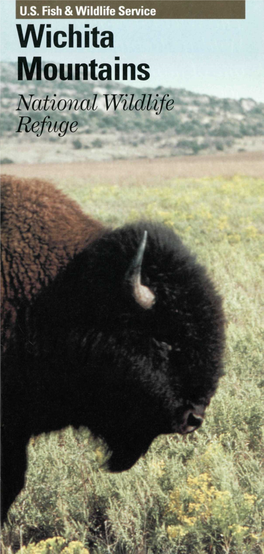 Wichita Mountains