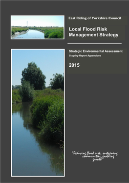 Local Flood Risk Management Strategy 2015