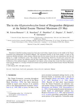 The in Situ Glyptostroboxylon Forest of Hoegaarden (Belgium) at the Initial Eocene Thermal Maximum (55 Ma)