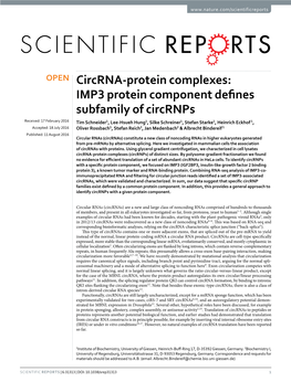 Circrna-Protein Complexes: IMP3 Protein Component Defines