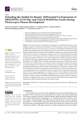 Differential Co-Expression of DROOPING LEAF-Like and Class B MADS-Box Genes During Phalaenopsis Flower Development