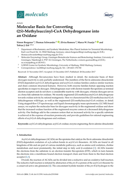 Methylsuccinyl-Coa Dehydrogenase Into an Oxidase