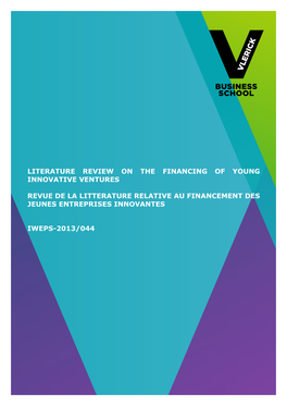 Literature Review on the Financing of Young Innovative Ventures Revue
