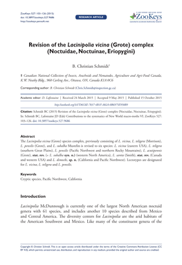 ﻿Revision of the Lacinipolia Vicina (Grote) Complex (Noctuidae