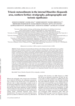 Triassic Metasediments in the Internal Dinarides (Kopaonik Area, Southern Serbia): Stratigraphy, Paleogeographic and Tectonic Significance