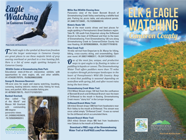 Cameron County Elk & Eagle Watching Guide