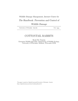 COTTONTAIL RABBITS Scott R