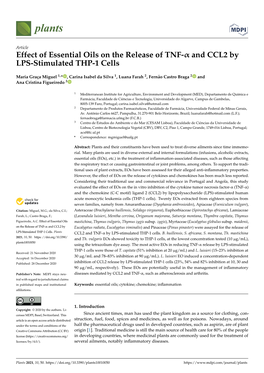 Effect of Essential Oils on the Release of TNF-Α and CCL2 by LPS-Stimulated THP-1 Cells