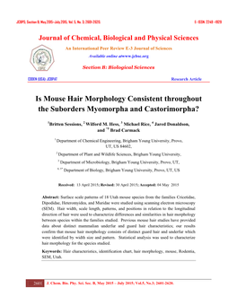 Is Mouse Hair Morphology Consistent Throughout the Suborders Myomorpha and Castorimorpha?