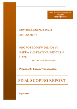 Final Scoping Report.Pdf