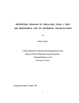 XDENTIFYING DOMAINS of SHIGA-Lim TOXIN 1 THAT
