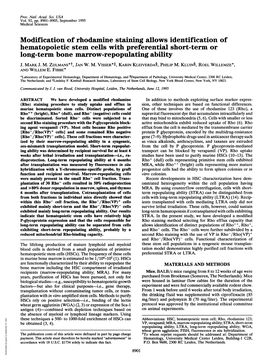 Modification of Rhodamine Staining Allows Identification of Hematopoietic Stem Cells with Preferential Short-Term Or Long-Term Bone Marrow-Repopulating Ability J