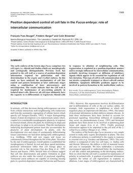 Position Dependent Control of Cell Fate in the Fucus Embryo: Role of Intercellular Communication