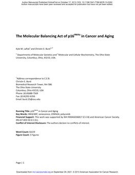 The Molecular Balancing Act of P16 In