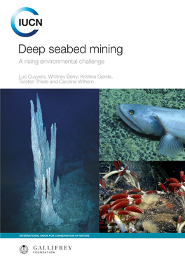 Deep Sea Mining