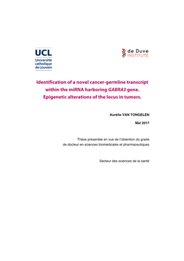 Identification of a Novel Cancer-Germline Transcript Within the Mirna Harboring GABRA3 Gene