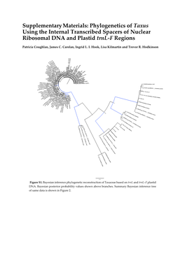 Phylogenetics of Taxus Using the Internal Transcribed Spacers of Nuclear Ribosomal DNA and Plastid Trnl-F Regions