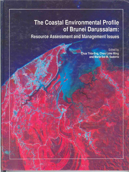Thfloastal Environmental Profile of Brunei Darussalam: Resource Assessment and Management Issues