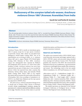 Rediscovery of the Scorpion Tailed Orb-Weaver, Arachnura Melanura Simon 1867 (Araneae: Araneidae) from India