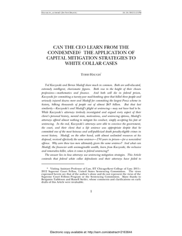 The Application of Capital Mitigation Strategies to White Collar Cases