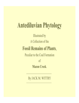 Antediluvian Phytology