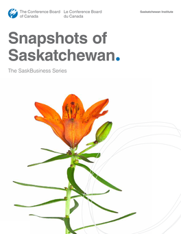 Snapshots of Saskatchewan. the Saskbusiness Series Three Years of Insights, Understanding and Impact