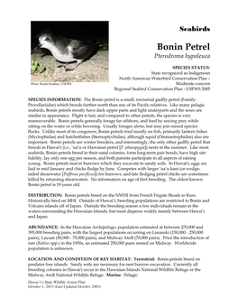 Bonin Petrel Pterodroma Hypoleuca