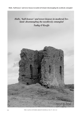 And Tower-Houses in Medieval Ire- Land: Disentangling the Needlessly Entangled Tadhg O’Keeffe