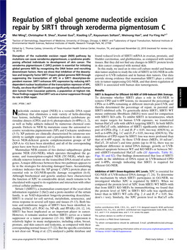 Regulation of Global Genome Nucleotide Excision Repair by SIRT1 Through Xeroderma Pigmentosum C