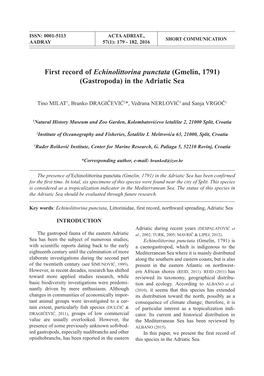 First Record of Echinolittorina Punctata (Gmelin, 1791) (Gastropoda) in the Adriatic Sea