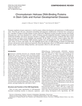 Chromodomain Helicase DNA-Binding Proteins in Stem Cells and Human Developmental Diseases