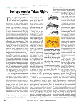 Sociogenomics Takes Flight Showed the Expected Expression Patterns in All 61 Four Species